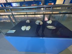 -上海海洋大学鱼文化博物馆(军工路校区)