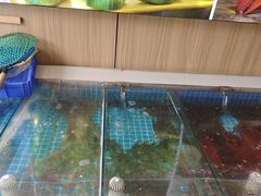-渡海小渔村.老辈日照菜
