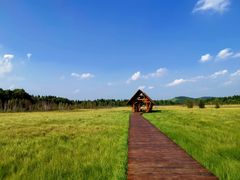 -塞罕坝国家级自然保护区