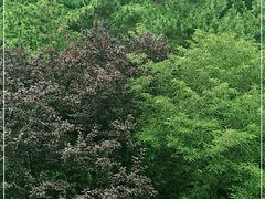 -贮水山儿童公园