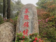 -梧桐山风景名胜区