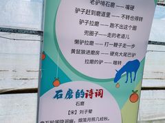 -前小桔亲子创意农场·草莓采摘·露营烧烤