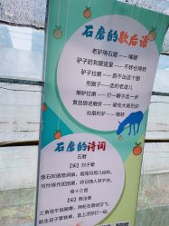 -前小桔亲子创意农场·草莓采摘·露营烧烤