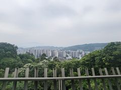 -福道