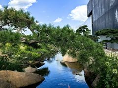 -罗红摄影艺术馆