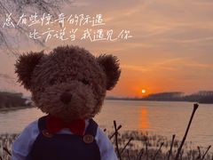 -丁香湖公园