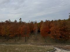 -南汇嘴观海公园