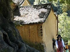 -杨家堂村