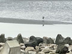 -南汇新城海滩