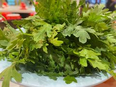 -老马路串串香火锅(北门桥店)