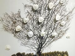 -青岛贝壳博物馆
