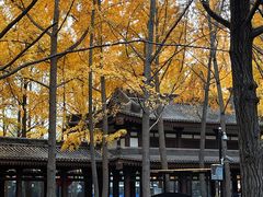 -大慈恩寺(大雁塔)