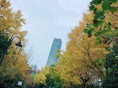 -北外滩滨江绿地