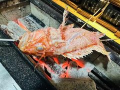 -琴寿司居酒屋(中山广场店)