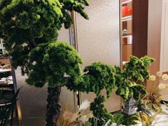 -同庆楼(天鹅酒家店)