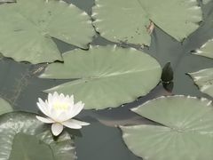 -苏州太湖湖滨国家湿地公园