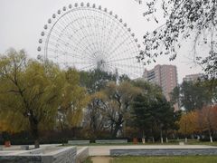 -万泉公园