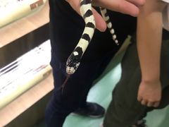 -藦茜花园宠物主题亲子互动体验馆(国顺东路店)