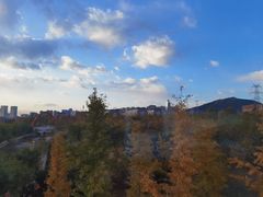 -大连理工大学(凌水校区)