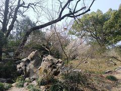 -杭州植物园