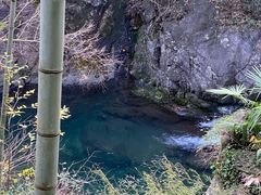 -宁波五龙潭景区