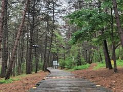 -帽儿山国家森林公园