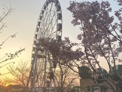 -自然谷恐龙园