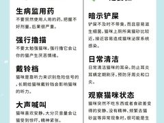 -翊宠yipet猫狗购宠庄园犬舍•猫舍