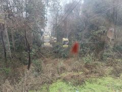 -黔灵山公园