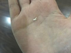 -心语宠物医院·急重症转诊中心·瑞辰华诺(南青路店)