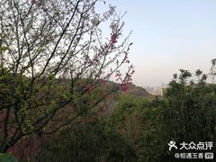 -飞凤山奥体公园