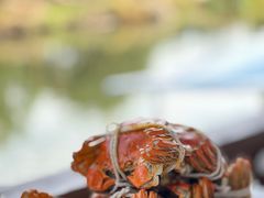 -乡乐园蟹庄·阳澄湖农家乐