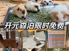 -杭州开元森泊度假乐园