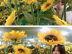 -天津梵高星空艺术馆(天河城旗舰店)