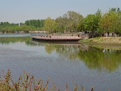 -东郊湿地公园