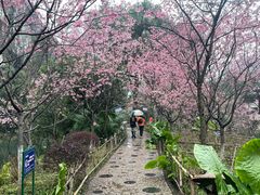 -南溪山景区