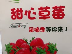 -甜心庄园·甜心草莓采摘园(西青中北店)