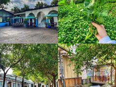 -凤来栖·净庭院·火锅(欧尚店)