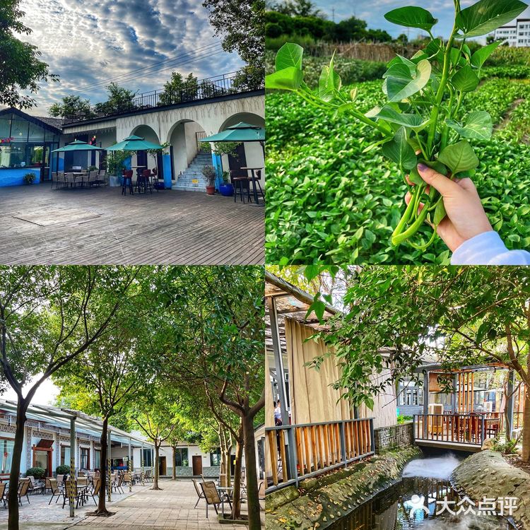 24年老店|‼️成都最资格的庭院火锅！✅实力派代表