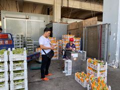 -徐州雨润农副产品全球采购中心