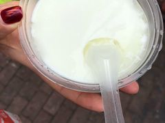 -义顺牛奶公司