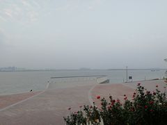 -游心咖啡(青山滨江店)