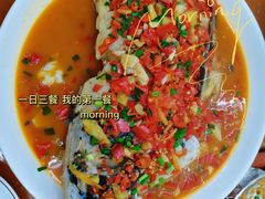-全乐鱼馆·淳牌有机鱼直营店