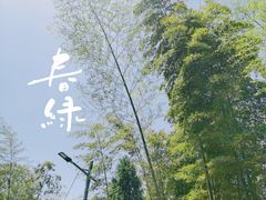 -长沙黑麋峰国家森林公园