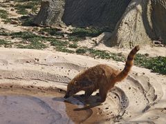-杭州野生动物世界