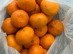 -西归浦每天偶来市场