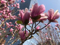 -如家酒店(北京国展三元桥店)