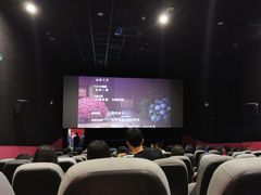 -中影嘉华国际影城(大芬星都里店)