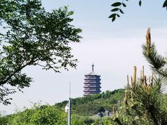 -永定河休闲森林公园