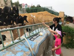 -东方熊牧场